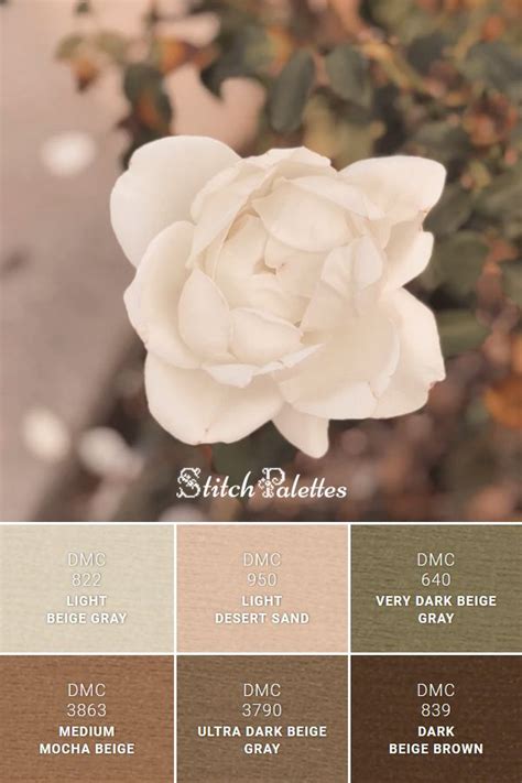 soft beige